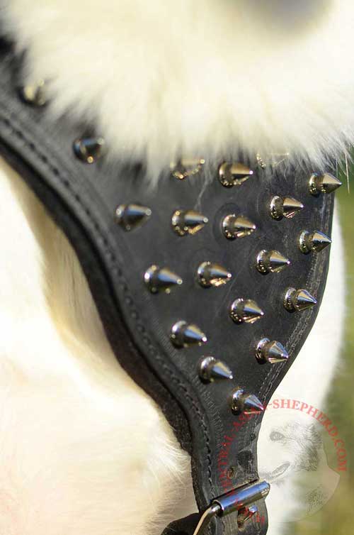 Padded Chest Plate with Hand Set Silver-like Spikes