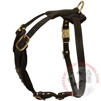 Easy Adjustable Leather Central Asian Shepherd Harness