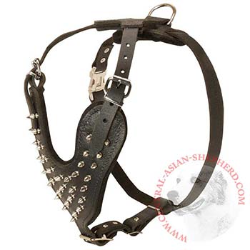 Spiked Leather Harness for Central Asian Shepherd Walking