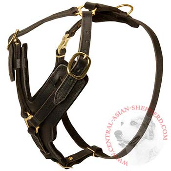 Comfortable Y-Shaped Leather Harness for Central Asian Shepherd Attack  Training
