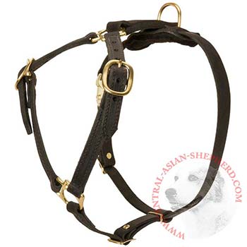 Leather Central Asian Shepherd Harness Light Weight Y-Shaped for Tracking Dog