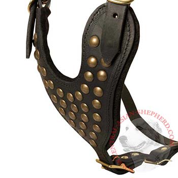 Studded Black Leather CHest Plate for Central Asian Shepherd Comfort