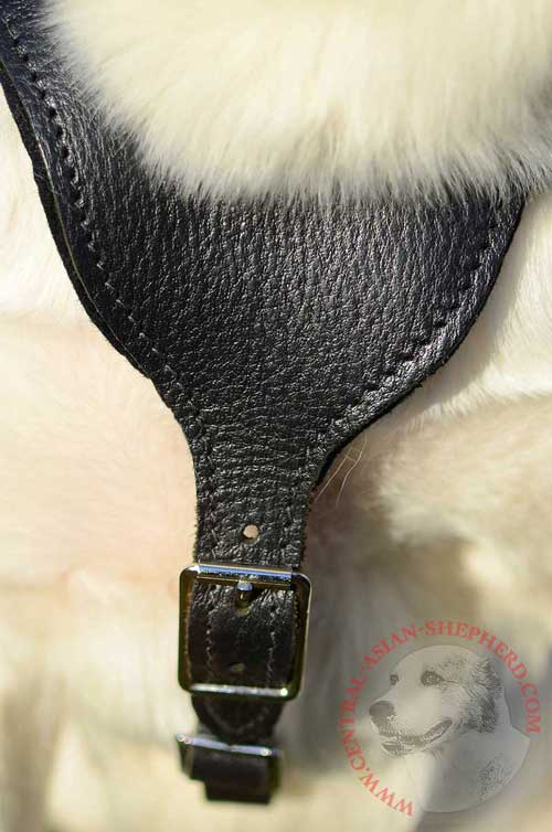 Y-Shaped Breast Plate Padded from Inside for Central Asian Shepherd