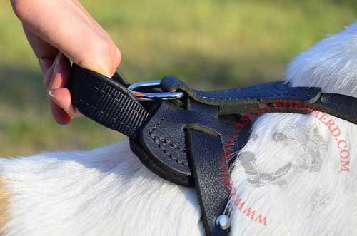 Very Strong Handle for Easier Management of Large and Powerful Canine