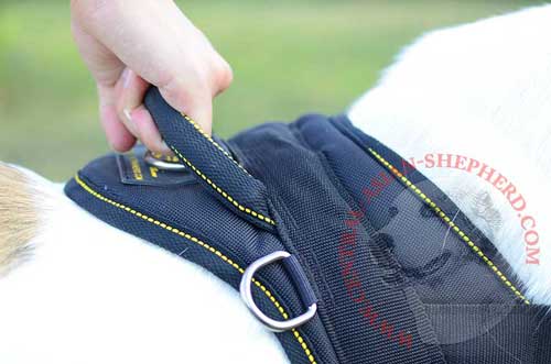 Comfortable Control Handle for Quick Management of Your Pet 