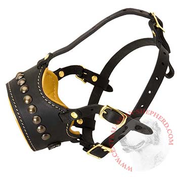 Padded Muzzle for Central Asian Shepherd