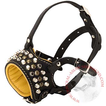 Adjustable Leather Central Asian Shepherd Muzzle with Studs for Walking Dog 