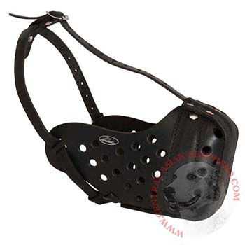 Training Leather Dog Muzzle for Central Asian Shepherd