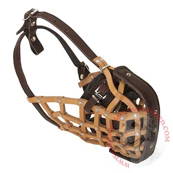 Central Asian Shepherd Muzzle Leather Mesh for Walking and Training