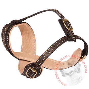 Central Asian Shepherd Muzzle Leather Easy Adjustable with Quick Release Buckle