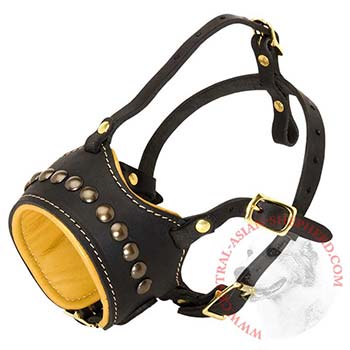 Central Asian Shepherd Muzzle for Walking