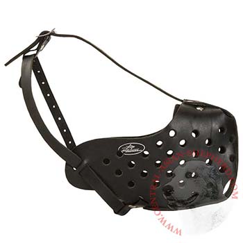 Safe Leather Muzzle for Central Asian Shepherd Walking