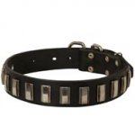 Central Asian Shepherd Leather Collar with Shiny Plates
