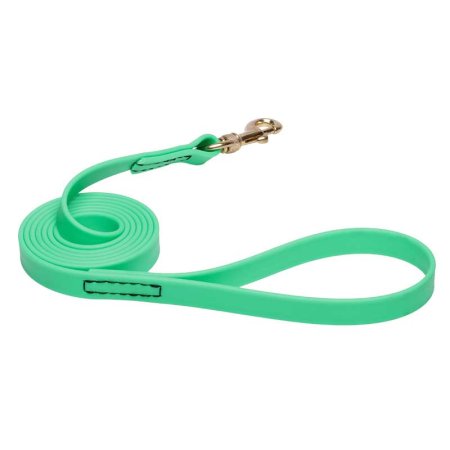 Green Waterproof Central Asian Shepherd Leash Made of Biothane