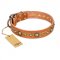 "Feast of Luxury" FDT Artisan Tan Leather Central Asian Shepherd Collar with Old Bronze Look Circles