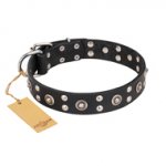 "Refined Essence" FDT Artisan Black Leather Central Asian Shepherd Collar with Silvery Studs