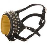 Royal Spiked and Studded Leather Central Asian Shepherd Muzzle