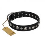 "Genteel Charm" FDT Artisan Black Leather Central Asian Shepherd Collar with Silver-like Round Conchos