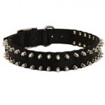 Central Asian Shepherd Nylon Collar Spiked