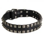 New Leather Central Asian Shepherd Collar - Fashion Exclusive Design - "Caterpillar"