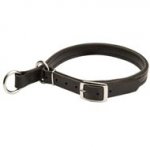 Central Asian Shepherd Leather Choke Collar