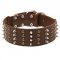 Extra Wide Leather Spiked and Studded Central Asian Shepherd Collar