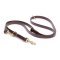 Multipurpose Brown Biothane Central Asian Shepherd Leash for over 7 Different Activities