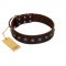 "Graceful Classic" Mod FDT Artisan Brown Leather Central Asian Shepherd Collar