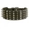 Central Asian Shepherd Leather Collar Spiked and Studded