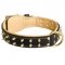 Royal Leather Central Asian Shepherd Collar Spiked Padded with Nappa Leather