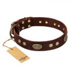 "Old-fashioned Glamor" FDT Artisan Brown Leather Central Asian Shepherd Collar with Old Bronze Look Plates and Circles