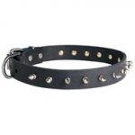 Central Asian Shepherd Leather Collar Spiked 30 mm