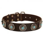 Leather Central Asian Shepherd Collar with Blue Stones for Stylish Walking