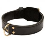 Training 2 Ply Leather Central Asian Shepherd Collar