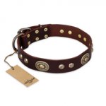 "Breath of Elegance" FDT Artisan Decorated with Plates Brown Leather Central Asian Shepherd Collar