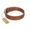 "Silver Age" Fashionable FDT Artisan Tan Leather Central Asian Shepherd Collar with Silver-Like Studs