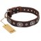 "Extra Pizzazz" FDT Artisan Adorned Brown Leather Central Asian Shepherd Collar
