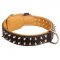 Spiked Central Asian Shepherd Collar Padded with Nappa Leather