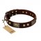 "Magic Amulet" Brown Leather Central Asian Shepherd Collar with Skulls and Plates