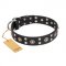 "Refined Essence" FDT Artisan Black Leather Central Asian Shepherd Collar with Silvery Studs