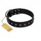 "Flower Rhapsody" FDT Artisan Premium Quaulity Black Leather Central Asian Shepherd Collar