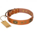 "Dandy Pet" FDT Artisan Handcrafted Tan Leather Central Asian Shepherd Collar