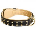 Royal Leather Central Asian Shepherd Collar Spiked Padded with Nappa Leather