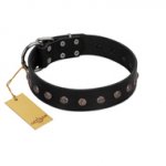 "Flower Rhapsody" FDT Artisan Premium Quaulity Black Leather Central Asian Shepherd Collar