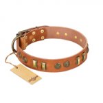 "Natural Beauty" FDT Artisan Tan Leather Central Asian Shepherd Collar with Old Bronze-like Circles and Plates