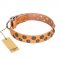 "Precious Sparkle" FDT Artisan Handcrafted Tan Leather Central Asian Shepherd Collar