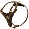 Tracking Leather Central Asian Shepherd Harness With Y-Chest Plate