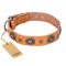 "Twinkle Twinkle" FDT Artisan Incredible Studded Tan Leather Central Asian Shepherd Collar