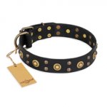 "Cosmic Glow" FDT Artisan Black Leather Central Asian Shepherd Collar with Brass-Plated Studs