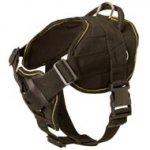 Nylon Central Asian Shepherd Harness for Pulling Tracking Training